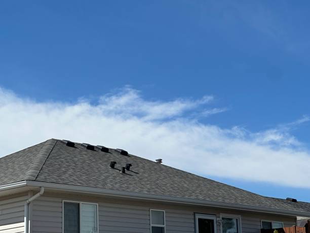 Best Roof Ventilation Installation  in Cleveland, TX